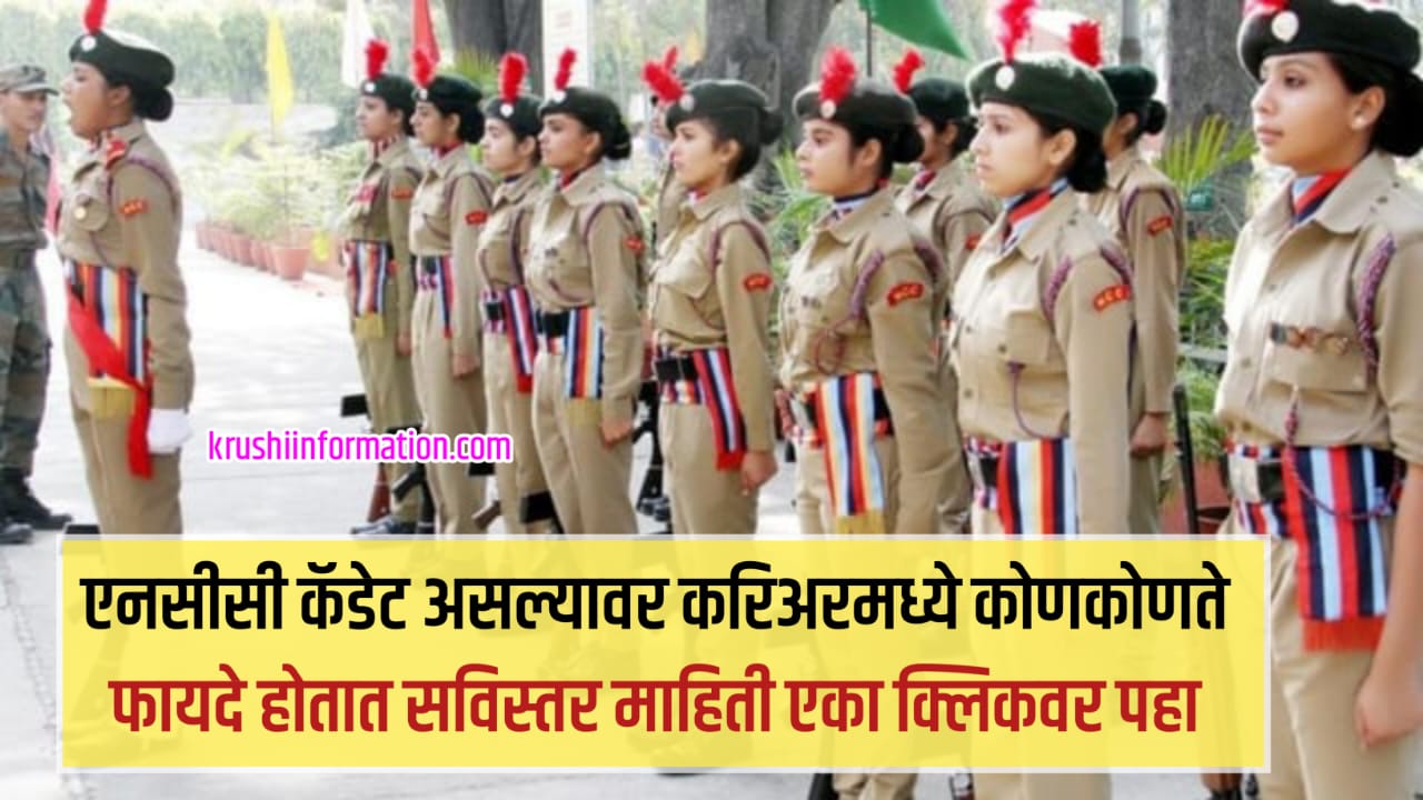 NCC Cadet News