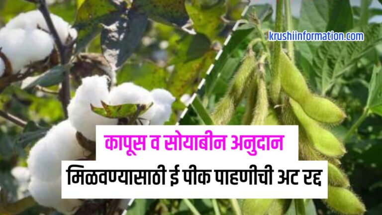 Kapus soybean anudan Yojana